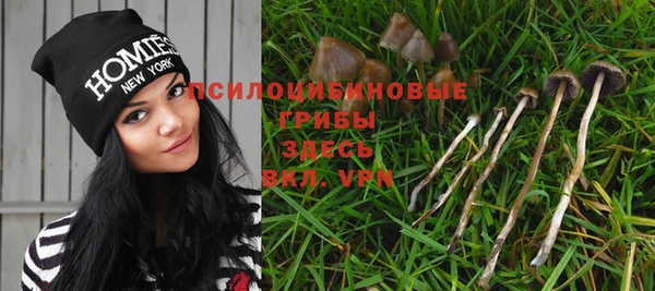 эйфоретик Лабытнанги