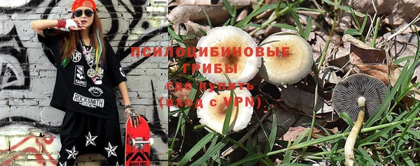 стафф Лагань
