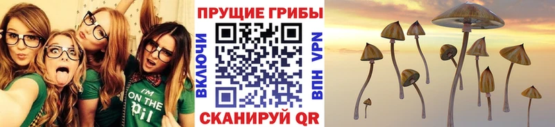 Галлюциногенные грибы мухоморы  Усмань 